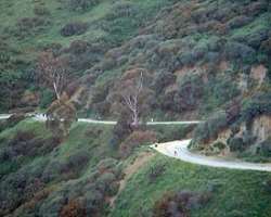The Runyon Canyon Park is fascinated by natural scenery which is an exciting fun park filled with green herbs